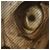 10.gif