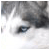 66.gif