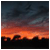 Tarasview's picture