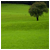 EsromArt's picture