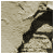 95.gif
